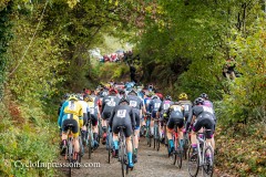 Koppenbergcross