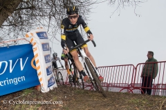 Scheldecross Anwerpen